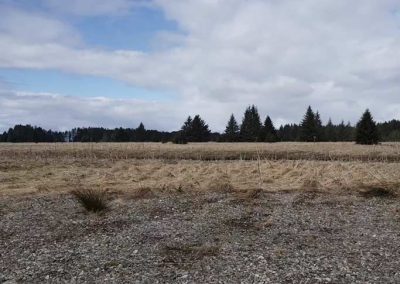 image of view from lot