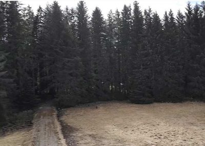 image of road to property