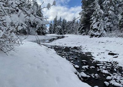 image of the creek