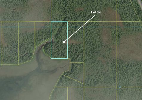 Lot 14 South Mitkof Highway