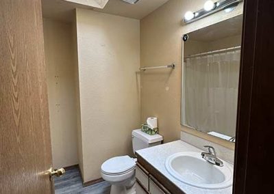 image of the full bathroom