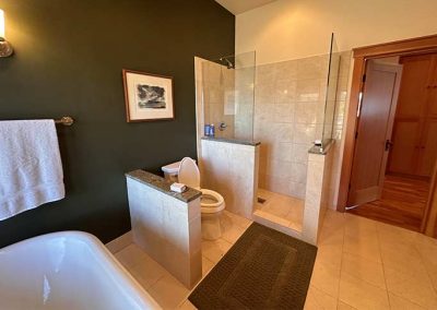 image of the walkin shower