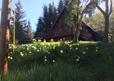 image of the house