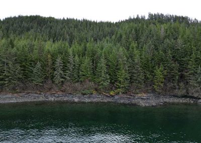 image of coastline