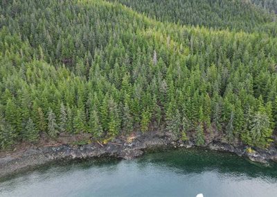 image of aerial view of beach