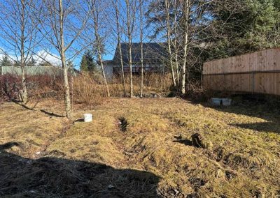 image of the backyard
