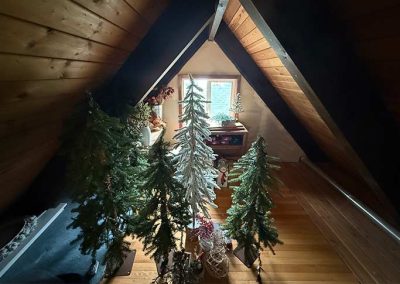 image of attic storage