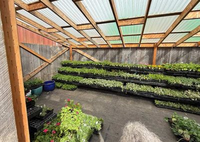 image of greenhouse interior