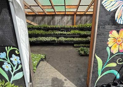 image of the greenhouse