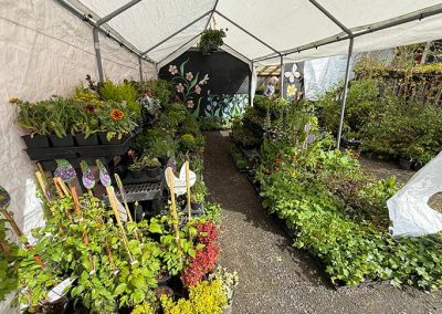 image of interior of greenhouse