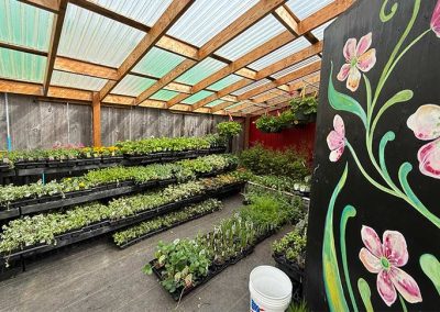 image of the greenhouse