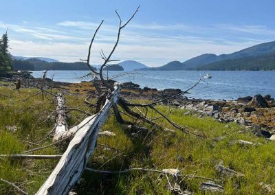 image of the strait