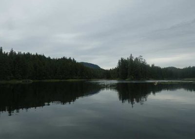 image of the view