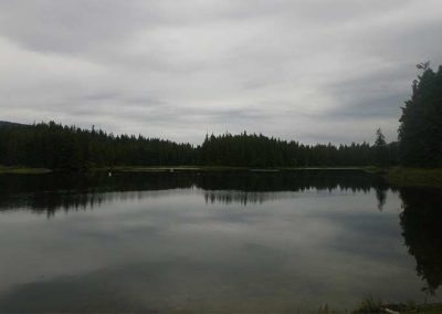 image of the view from the beach