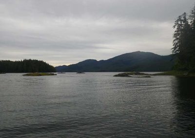 image of the view
