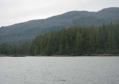 image of the cove