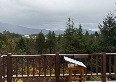 image of the view