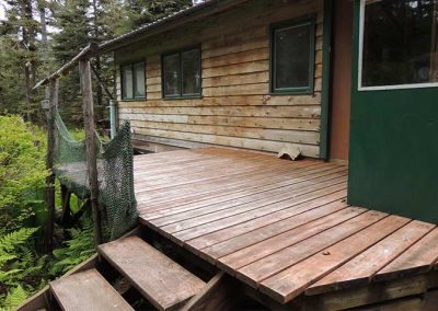 image of the back decking