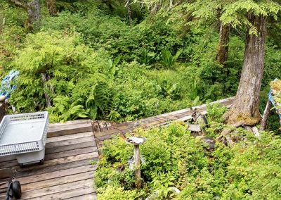 image of the boardwalk