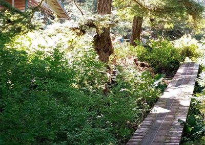 image of the boardwalk