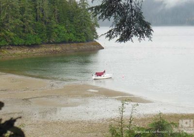 image of the tide level