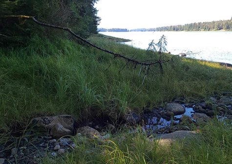 Lot 12 Wrangell Narrows