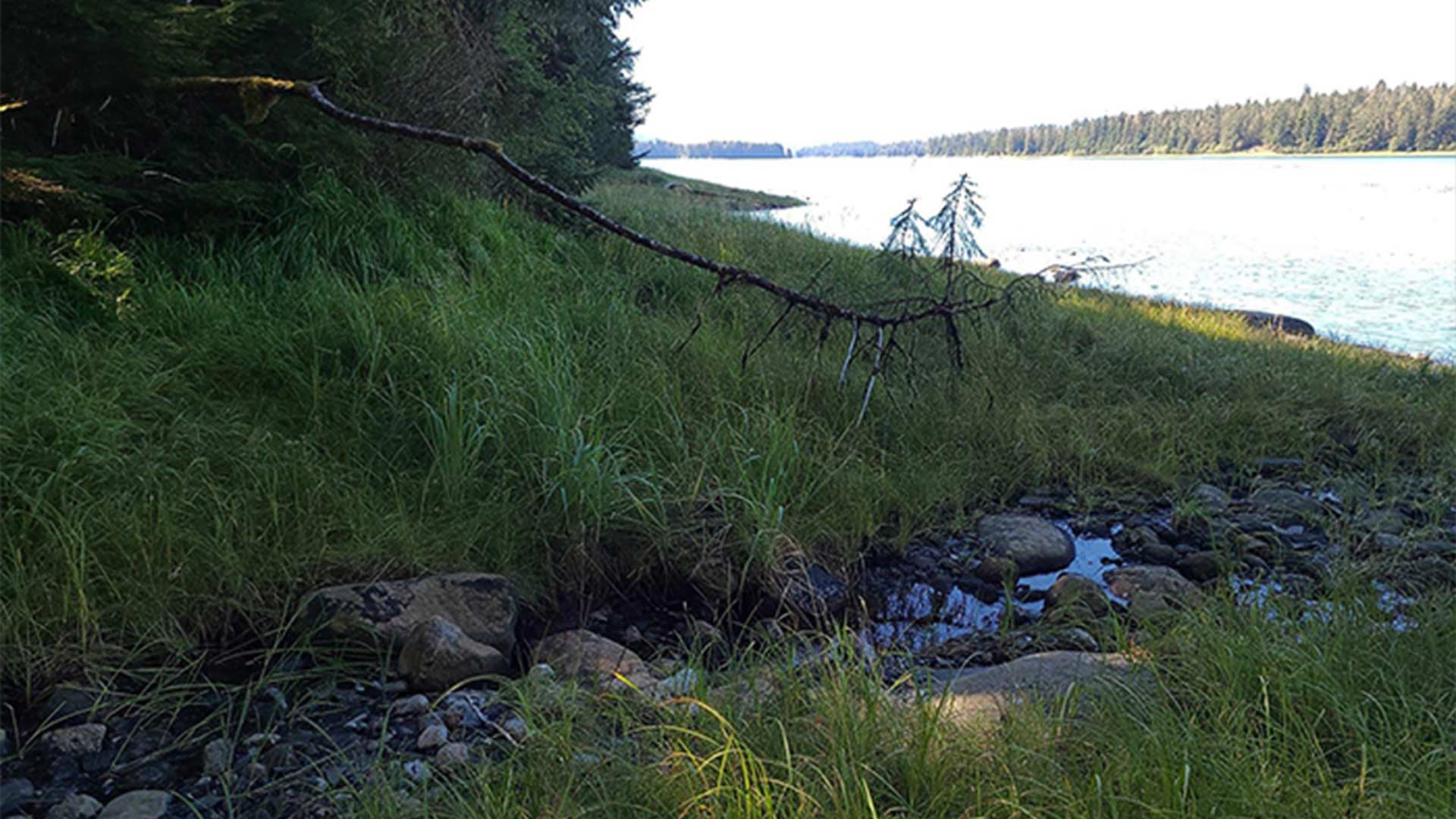 Lot 12 Wrangell Narrows
