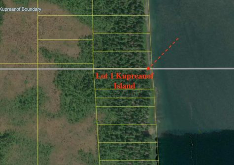 Lot 1 Kupreanof Island
