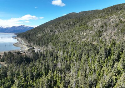 image of Mud Bay