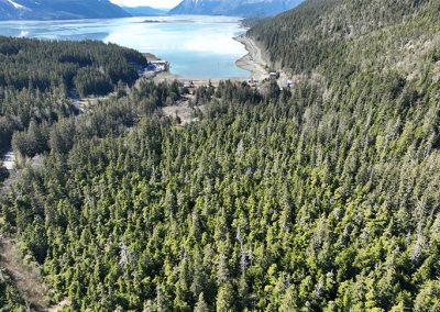 image of aerial view of Mud Bay