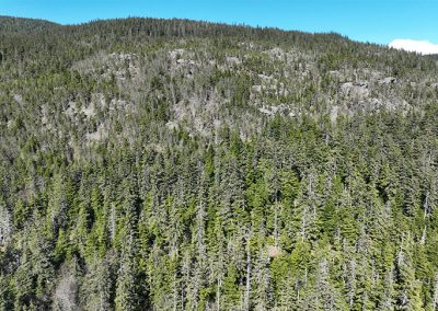 image of northern view