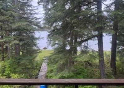 image of the view