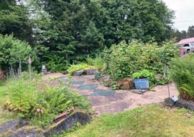 image of the back yard
