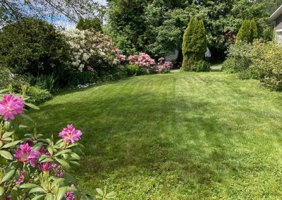 image of the front yard