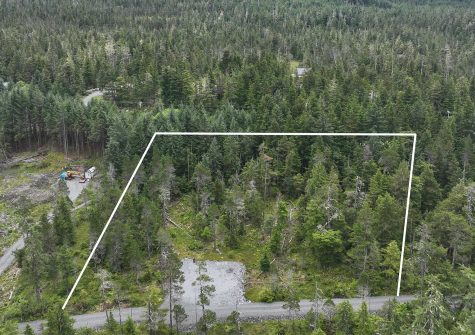 Lot 2 Blueberry Lane
